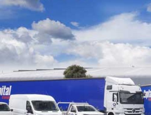 Storage and Distribution Activity